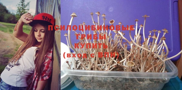 прущие крисы Краснослободск