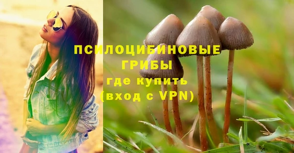 apvp Алексеевка